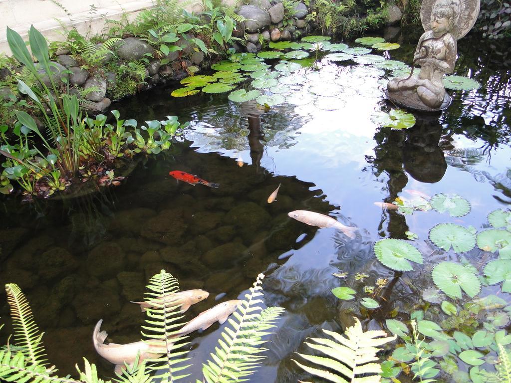 Heaven In Bali Lejlighed Penginyahan Eksteriør billede