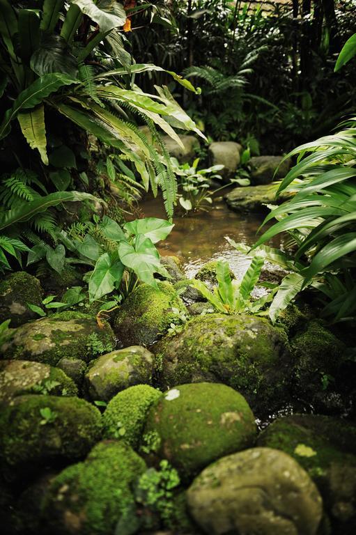 Heaven In Bali Lejlighed Penginyahan Eksteriør billede